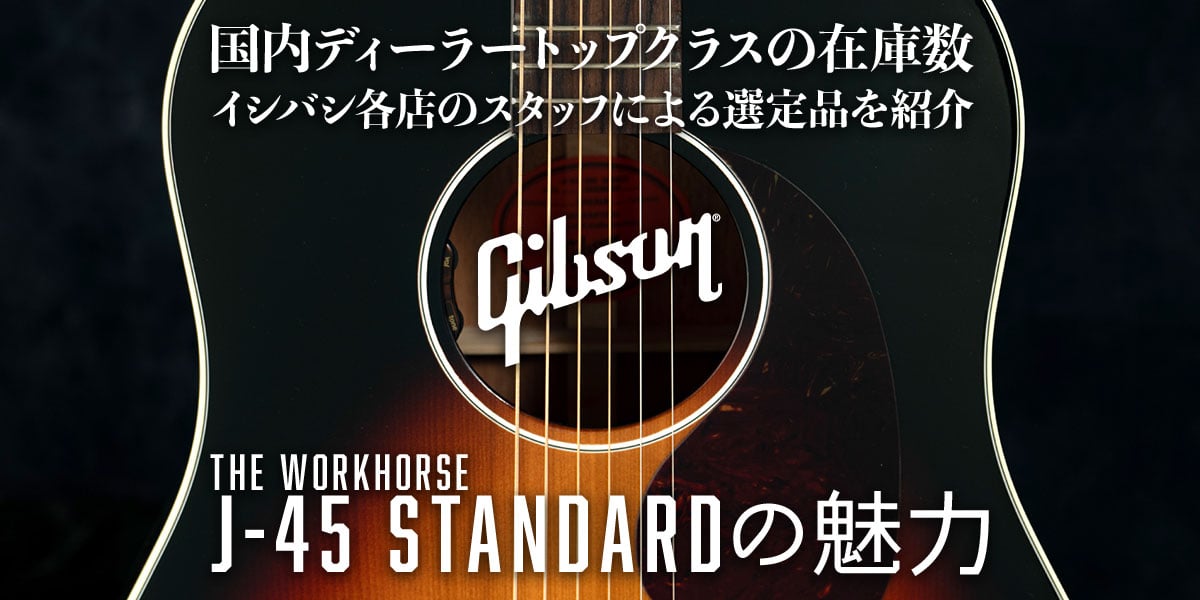 Gibson J-45 Standard の魅力